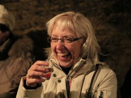 Pochod po sklepech 2014